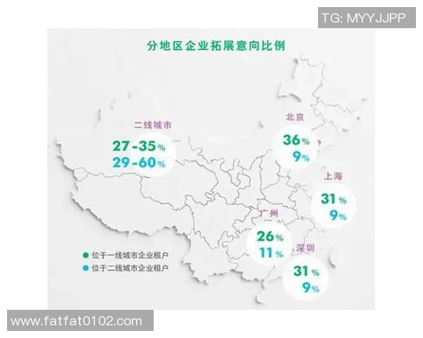 从杭州起步到全国布局悟空体育的扩张战略与分店蓝图